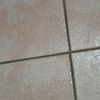 userlebo8490