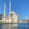 hayvan_sever118