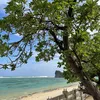 Nangaramoan beach