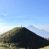 maskrib_02