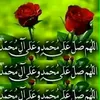 guly_bahar6