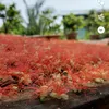 haonguyen2875