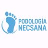 necsana84