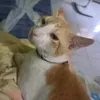 pewpewbengbeng