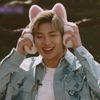 namjoonbts_lisabp