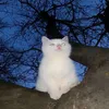 galaktika_snow1
