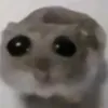 _muscka_