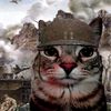 itachivekargasi