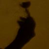 _tefy12