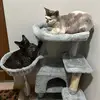 maude_archie_friends