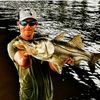 badfish333