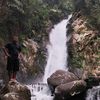 kobri_jr