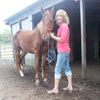 dianeeller48