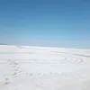 the_eliasafmendez