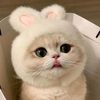 nad_hira30