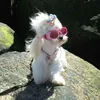 embemoicong