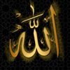 mhamad011001