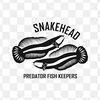 snakeheadbdg