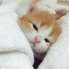 bklove0718
