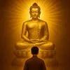 Sức Khoẻ Đời Sống