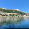 scelton