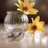 hamsalhanin4