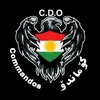 sozyar.talabani