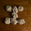 _yogip_