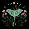 moon_moth13