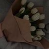 bashaeyr3416