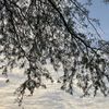 manal_634