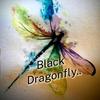 black_dragonfly0