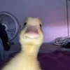 clnvrbly