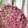 soyy_apollonia