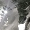 nedoxomyak