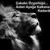 servetsarizade