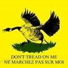 goose_libertas
