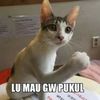 immeyy24