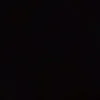 _.rose._76