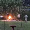 rosygardenfarmfl