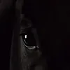 rawa_rwandzii