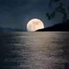 taibahkamali