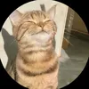 anhaorcn