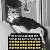 elizah_fr