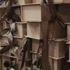 sckflgn