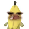 ameninadarisada
