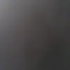 msabeel786