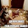 qwertyyyuipo
