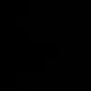 .siani_
