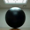 brachylagus_magus_369